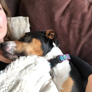 Meet your Posher, Lisa